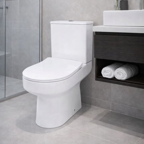 What Is a One Piece Siphonic Toilet