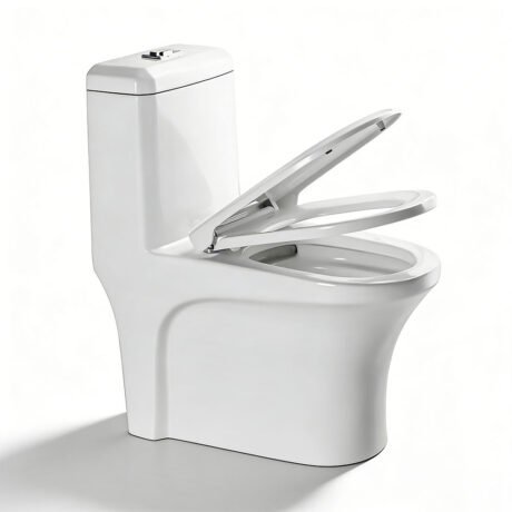 AIDI One Piece Siphonic Toilet – Elongated Ceramic Dual Flush WC for Modern Bathrooms