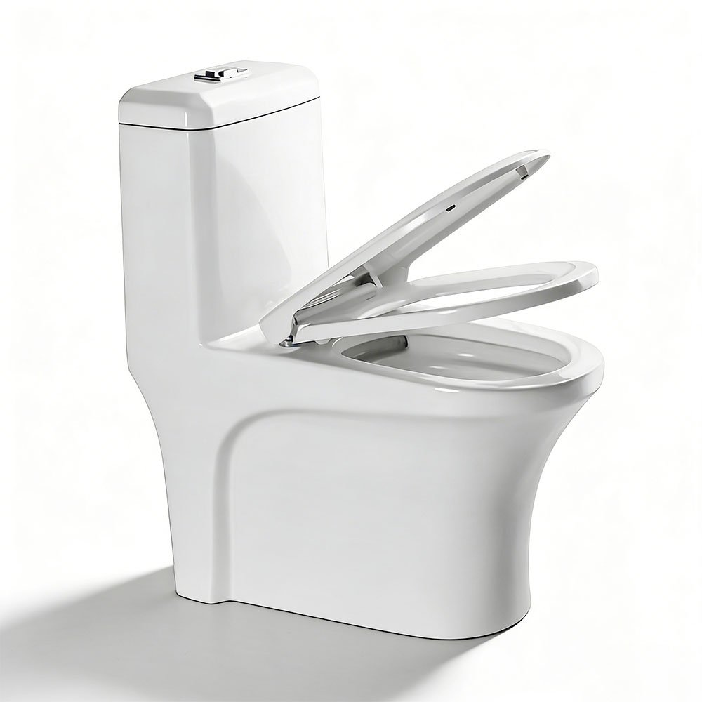 AIDI One Piece Siphonic Toilet – Elongated Ceramic Dual Flush WC for Modern Bathrooms