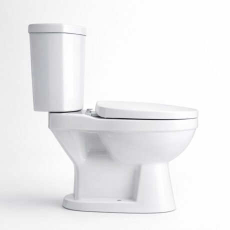 Ceramic Two Piece Toilet with Washdown Flush