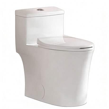 CE Compliant One-Piece Dual Flush Siphonic Toilet with Elongated Bowl | Water-Saving Ceramic WC