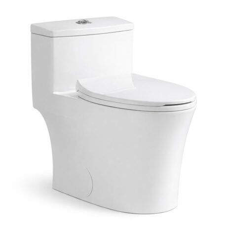 CE Compliant One-Piece Dual Flush Siphonic Toilet with Elongated Bowl | Water-Saving Ceramic WC