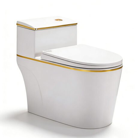 Luxury One Piece Ceramic Toilet with Gold Trim | AD-O01a Siphonic Dual Flush Floor Mounted WC
