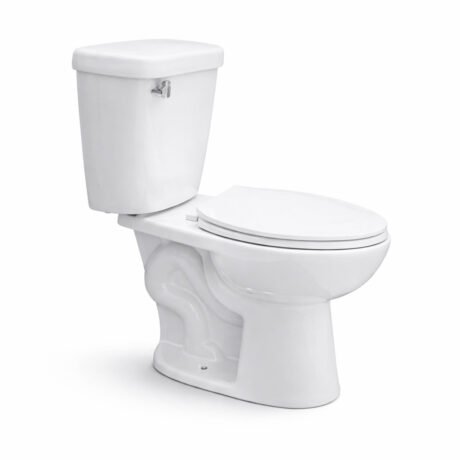 Siphon Flushing Two-Piece Toilet | Elongated WC with Dual Flush for Bathroom