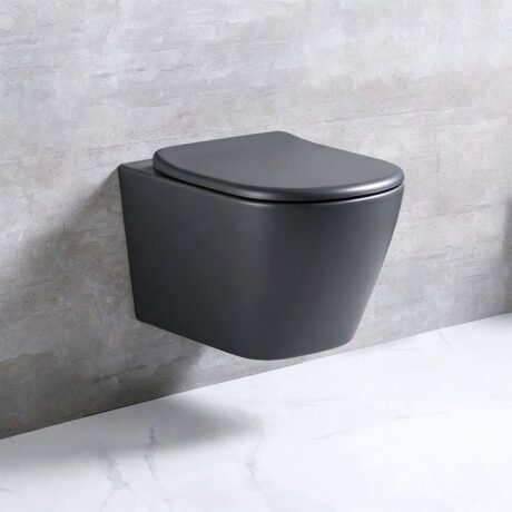 wall-hung-toilet-vs-floor-mounted-toilet.jpg