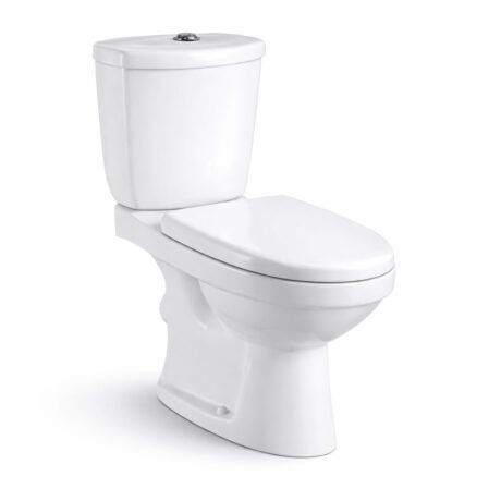 Dual-Drain Two-Piece Toilet | Dual Flush Ceramic Toilet for Middle East & Argentina | AiDi