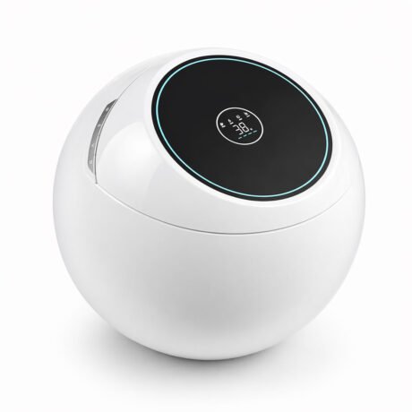 Remote Control Smart Toilet