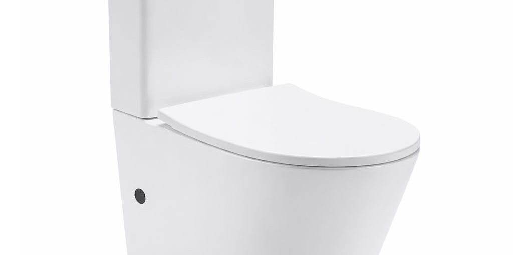 Rimless Two-Piece Toilet with Dual Flush