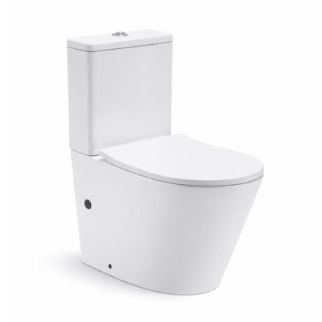 Rimless Two-Piece Toilet with Dual Flush