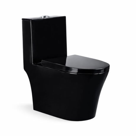 Black One Piece Toilet with Siphonic Flush | Elongated Ceramic WC for Modern Bathrooms
