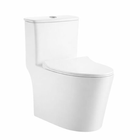 One Piece Toilet for Mexico Market | Siphonic Floor Mounted Ceramic Toilet with Dual Flush