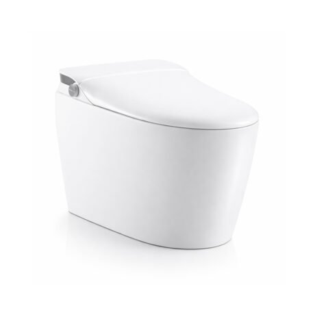 Intelligent One Piece Toilet with Smart Bidet