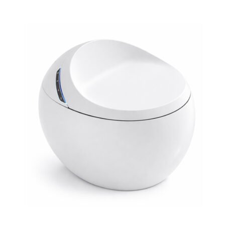 Egg Shaped Smart Toilet | Heated Seat, Bidet and Auto Flush Toilet for Modern Bathrooms