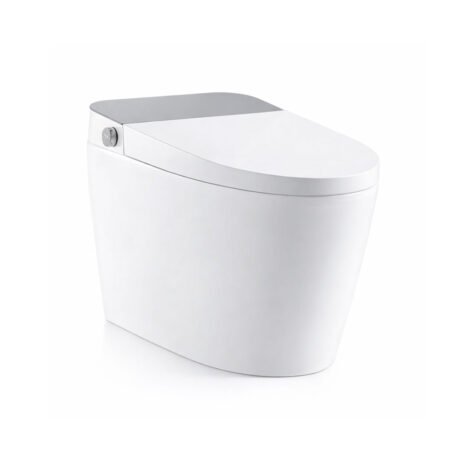 Factory Direct Smart Toilet | Heated Seat, Bidet Wash and Dual Flush for B2B Supply