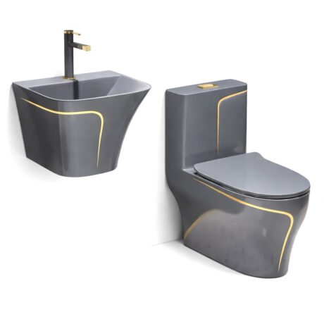 One Piece Siphonic Toilet with Dual Flush | Round Bowl Ceramic WC for Hotel and Project Supply