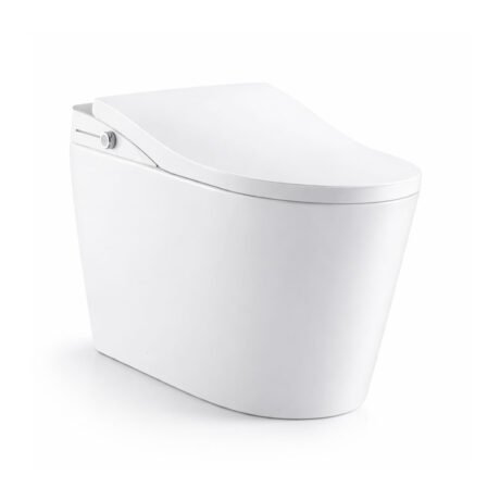 Intelligent One Piece Toilet with Smart Bidet Functions | Modern Toilet for Residential & Commercial Use