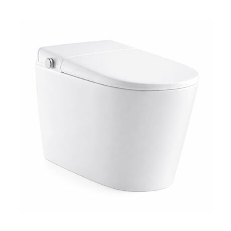 Smart Toilet with LED Display, Heated Seat & Auto Flush | Luxury One Piece Toilet for Modern Homes