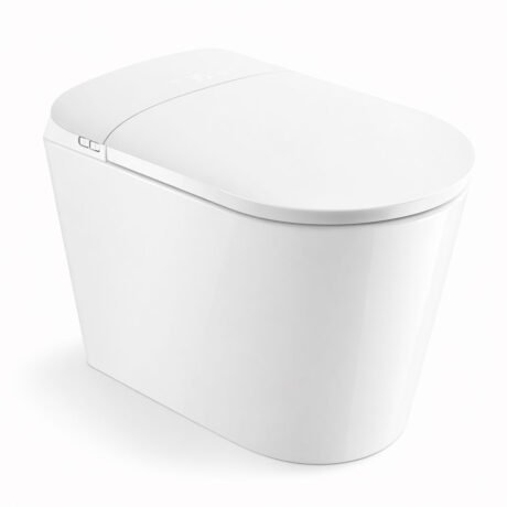 CE Certified Intelligent Toilet