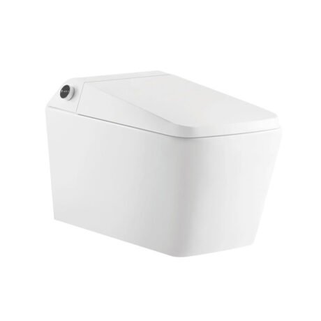 Wall Hung Intelligent Toilet with Heated Seat & Bidet