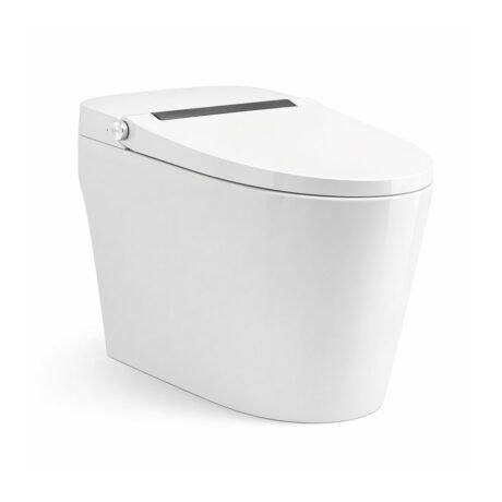 smart toilet with heated seat
