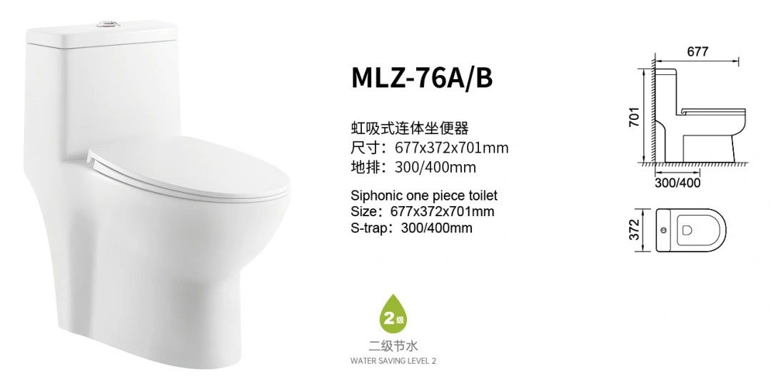 floor mounted one piece toilet