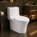 a Siphonic One Piece Toilet