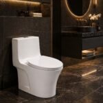 a Siphonic One Piece Toilet