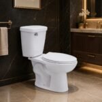 Siphon Flushing Two Piece Toilet