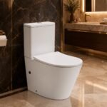 Rimless Two Piece Toilet