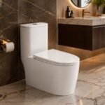 one piece siphonic toilet