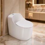 a One Piece Siphonic Toilet