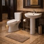 Economic Ceramic Toilet