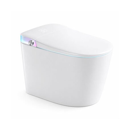 CE certified smart toilet