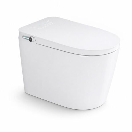 AIDI Smart Siphonic Toilet | CE Certified One Piece Smart Toilet with Remote Control