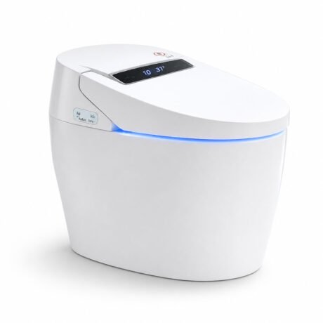 Customizable Intelligent Toilet | Floor Mounted Smart Toilet with Night Light & Dual Flush