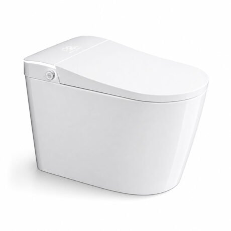 split smart toilet