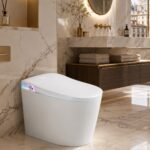 CE Certified Smart Toilet