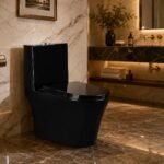 black one piece toilet