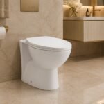  back to wall toilet
