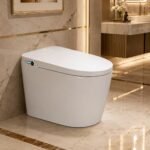 smart siphonic toilet