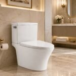 siphonic toilet