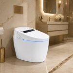 customizable intelligent toilet