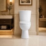 Two Piece Toilet with Washdown Flush