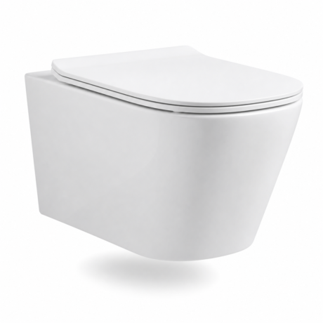 Factory Direct Dual Flush Wall Mounted Toilet | Modern Ceramic WC with OEM Branding